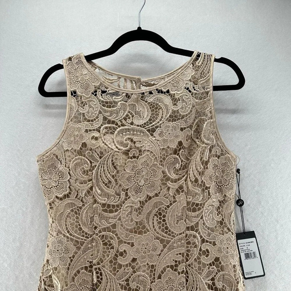 Adrianna Papell Dress Size 6 Lace Overlay Sheath Boat Neck Sleeveless Beige - Picture 3 of 12